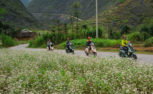 [Vespa] Vespa Sprint Adventure - xe ga đi phượt 3250